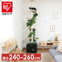 キャットタワー 猫用品 つめとぎ ねこの休ら木 ソラ ナチュラル 58203ペット ペット用品 ねこ キャットタワー 爪とぎポール 突っ張りタイプ クリアボード 爪とぎ ネコ インテリア