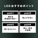 irisplaza-r:10158455のサンプル画像2