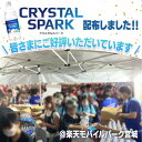 【公式】炭酸水 500ml 24本 強炭酸水 アイリスオーヤマ クリスタルスパーク 炭酸 アセロラ クリームソーダ レモン シャインマスカット ゆず フレーバー プレーン 無糖 国産 天然水 ペットボトル アイリスフーズ 炭酸飲料 *
