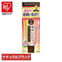 白髪染め 日用消耗品 ヘアケア 50の恵 頭皮いたわりカラートリートメント(ナチュラルブラック) ロート製薬 ロート 50の恵 カラートリートメント 白髪 髪染 ナチュラルブラック 頭皮 ダメージ 補修