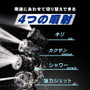 irisplaza-r:10161683のサンプル画像3