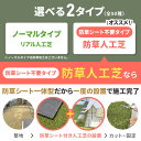 irisplaza-r:10150948のサンプル画像2
