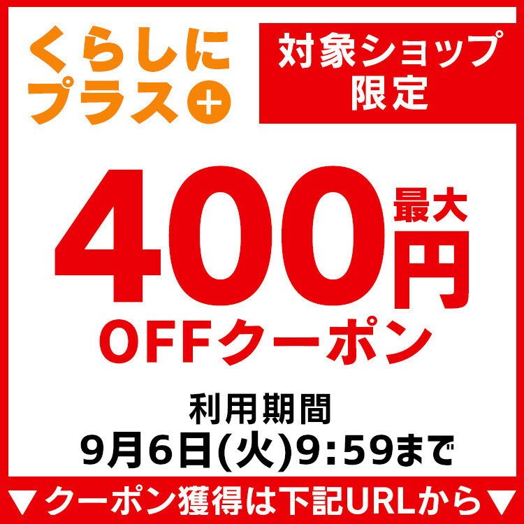 スチームクリーナー アイリスオーヤマ 16点セット STM-304N-D コンパクトタイプ オレンジ アイリス ロングホース ハンディタイプ　ボイラー式 掃除 大掃除 油汚れ 年末掃除 洗車 外壁掃除 換気扇掃除