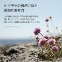 韓国ヘアケア ナード ヒマラヤハーブ NARD シャンプー+トリートメント ラベンダー...