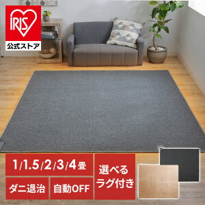 ホットカーペット 2畳 3畳 1畳 1.5畳 本体 TEKNOS 電気カーペット 一人用 電気マット カーペット 電気 ダニ退治 ホットマット ミニ カーペット マット ダニ対策 冬 タイマー付 タイマー【iris_dl02】