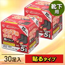 カイロ 貼る アイリスオーヤマ 15足入り×2箱 送料無料 貼るカイロ 靴下用 使い捨て 使い捨てカ ...