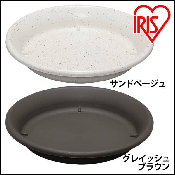 ڸۿȭ 5  ȭ ɥ١ 쥤å֥饦 ǥ˥  ڱ ץ󥿡  ȭ եݥå ٥    ե ꥹ