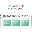 irisplaza-r:10107399のサンプル画像2