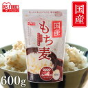 アイリスプラザ 楽天市場店