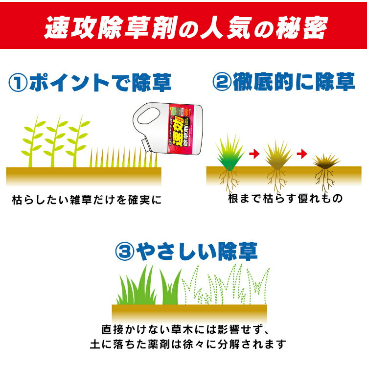 【公式】除草剤 4L SJS-4L アイリスオーヤマ速効除草剤 除草剤 除草 草むしり 草 雑草 速効 庭 手入れ ガーデニング 園芸用品 雑草 液状 薄めない そのまま ストレートタイプ 根 草木 駐車場 工場 敷地 のり面 多年生 非農耕地 根こそぎ 住宅 3