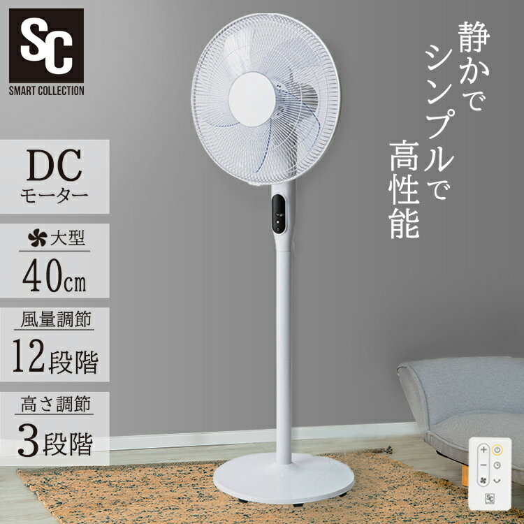  ӥ dc 40cm ⥳դ dc⡼ 󿶤 ڥޡ 12ʳ ӥ ե ӥ󥰥...