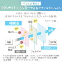 【4/20は抽選で100%Pバック】【公式】マスク アイリスオーヤマ 不織布 大容量 ふんわりやさしい ふつう 小さめ 100枚入 PK-FY100L100枚入ふんわり 花粉 やわらか 風邪 ハウスダスト 花粉症 【CP】 3