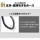 irisplaza-r:10102965のサンプル画像3