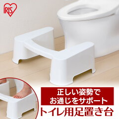 https://thumbnail.image.rakuten.co.jp/@0_mall/irisplaza-r/cabinet/jishahin42/250252.jpg