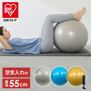 バランスボール55cm 23-187バランスボール フィットネス ダイエット 健康器具 体幹トレーニング エクササイズ ストレッチ トレーニング 宅トレ 骨盤 ...