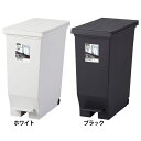 ゴミ箱 インテリア ダストボックス エバン両開きペダルペール30L A6303カウンター下 棚下 ペダルペール ゴミ箱 屋内ペール デッドスペース 省スペース 上開き キャスター付 キッチン ホワイト ブラック