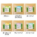 小動物 草 セレクションファーム 牧草栽培セット<リフィル> 草食小動物 牧草 栽培 生牧草 おやつ チモシー 草 うさぎ モルモット 小動物 イースター チモ...