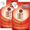 【2個セット】スキンケア 日用消耗品 コスメ 50の恵み 養潤液 詰替え用 200ml ロート製薬 ロート 50の恵 コラーゲン 養潤液 うるおい 化粧水 乳液...