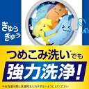 irisplaza-r:10158654のサンプル画像2