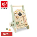 歩きはじめ かわいい おもちゃ アクティビティベビーウォーカー TYPR44226ウォーカー 木製 カート プルトイ パステルカラー 誕生日プレゼント クリスマスプレゼント 手押し車 ベビー ギフト PolarB DADWAY
