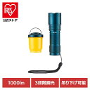 懐中電灯 ランタン 防災用品 大光量アルミライト1000LM DOP-EP1000懐中電灯 ランタン 防災用品 アルミライト 防災 明るい 1000lm 灯器 アウトドア キャンプ 災害 緊急時 エルパ ELPA 朝日電器株式会社