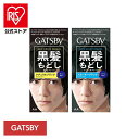 ギャツビー ターンカラー mandom マンダム GATSBY ギャツビー ヘアカラー 黒髪戻し セルフカラー クリームタイプ アクアフルーティ ブラック マンダム ナチュラルブラック スモーキーブラック