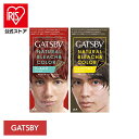 ギャツビー ナチュラルブリーチカラー mandom マンダム GATSBY ギャツビー ヘアカラー ブリーチ 脱色 セルフカラー アクアフルーティ ブラウン マンダム クールロゼ シェイドウルフ