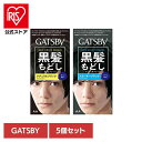 【5個】ギャツビー ターンカラー mandom マンダム GATSBY ギャツビー ヘアカラー 黒髪戻し セルフカラー クリームタイプ アクアフルーティ ブラック マンダム ナチュラルブラック スモーキーブラック
