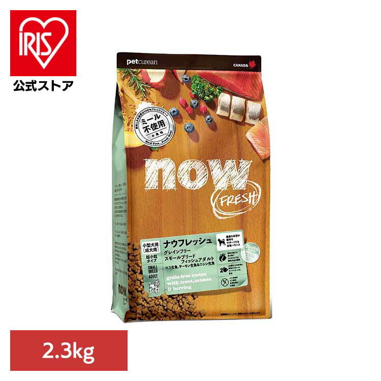 NOW スモールブリード フィッシュアダルト 2.3kg ドッグフード グレインフリー プレミアムフード ミールフリー 生肉 野菜 フルーツ 手作り 小粒 魚 グローバルペットニュートリション 【B】