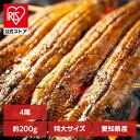 【4尾】頑固おやじのこだわり鰻 うなぎ かば焼き 国産 鰻蒲焼 冷凍 800g 愛知県 厳選 愛知県産 土用 Tokka 【TD】 【代引不可】