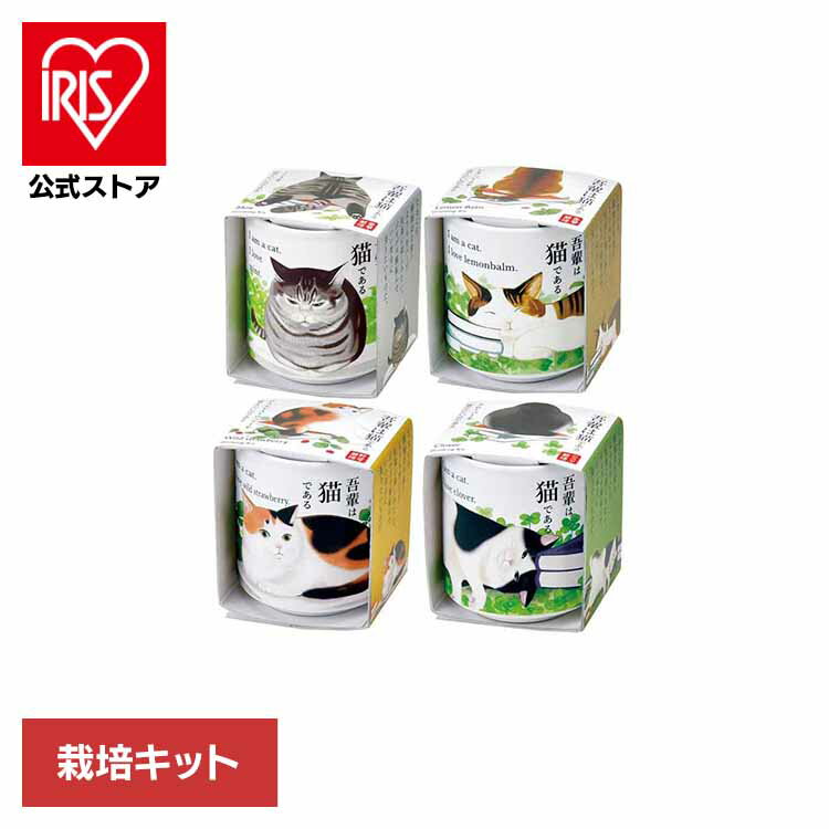 お芽でたおちょこ 吾輩猫 GD-102801 GD-102802 GD-102803 GD-102804栽培キット 栽培セット ミント レモンバーム ワイルドストロベリー クローバー 聖新陶芸 ねこデザイン インテリア SEISHIN ミント レモンバーム ワイルドストロベリー クローバー