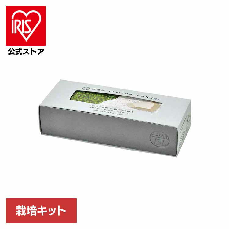 瓦盆景 KAWARA-BONKEI GD-1010栽培キット 栽培セット 盆景 聖新陶芸 苔 コケ 庭園 三州瓦 瀬戸焼 育てる 贈り物