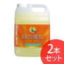 【2本セット】緑の魔女バス業務用 5L 洗剤 緑の魔女 業務用 風呂 バス パイプクリーナー 排水管掃除 洗剤業務用 洗剤パイプクリーナー 緑の魔女業務用 業務...