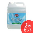 洗剤 まとめ買い 緑の魔女 衣類洗剤 衣類 ランドリー 洗濯洗剤 業務用 5KG 2本セット ミマスクリーンケア パイプクリーナー 液体洗剤【日用品CP】