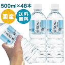 【48本セット】LDC 自然の恵み天然水 500ml 水 非加熱 天然水 ミネラルウォーター 災害対策 飲料水 備蓄 500ml ペッ…