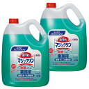 【4/20は抽選で100 Pバック】 2個セット マジックリン 除菌プラス 4.5L 業務用 洗剤 厨房 ホール 除菌 微香性 Kao 2本セット プロフェッショナル 油汚れ 【D】