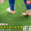 【国産】【2個セット】人工芝 1×10m アイリスオーヤマ リアル防草人工芝 RP-30110 U字ピン24×2本付き 送料無料 人工芝 人工芝マット 芝マット...
