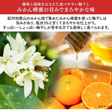 梅 紀州南高梅 はちみつ入りはねだし梅 塩分約5% 400g 梅干し みかん畑で採れたハチミツ お得な 訳あり つぶれ梅 紀州産 無選別 うす塩梅干 塩分約5% あまい 食品 【D】【syoku】〔tomo〕【食cp】