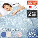 掛け布団 シングル 夏用 洗える 夏用掛け布団 2枚セット 羽毛布団 布団 日本製ダウンケット WDD85%0.2kg 代引不可