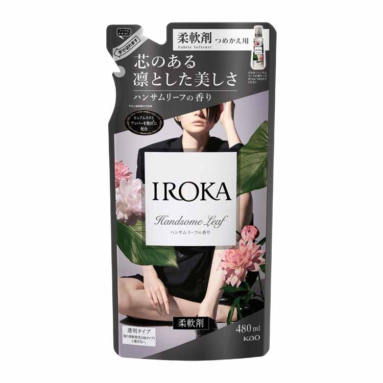 IROKA ϥ󥵥꡼դι Ĥᤫ 480ml ֲ   Ʃ ͤؤ ԥ奢ॹ С ʤʹ ...