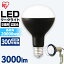 ڸLEDŵ E39  3000lm LDR25D-H-E39-E ꥹ LEDŵ LED饤 饤  LED    E39 ȸ 