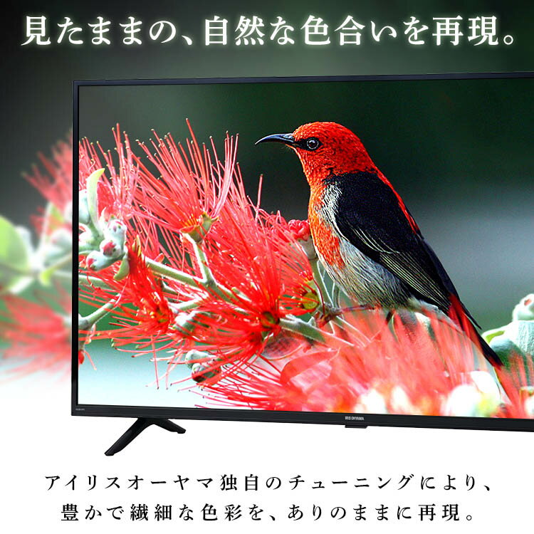 テレビ 40型 フルハイビジョンテレビ 40F...の紹介画像3