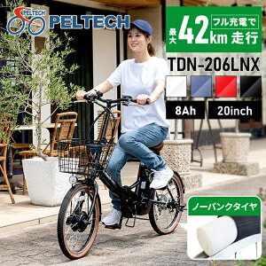 ưž  20 6 8AH ž ޤꤿ ưȼž Ρѥ  PELTECH TDN206LNR Բ