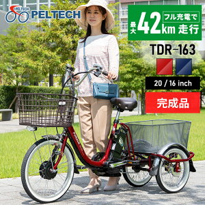 ưž  ž 3® 3ؼ ưؼ ưȼž 8AHХåƥ꡼ 20 PELTECH TDR-163X ʰΩɬ Բ