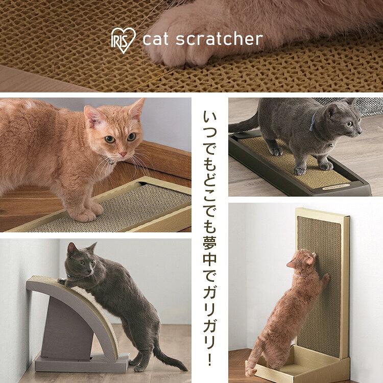 サンプル画像3
