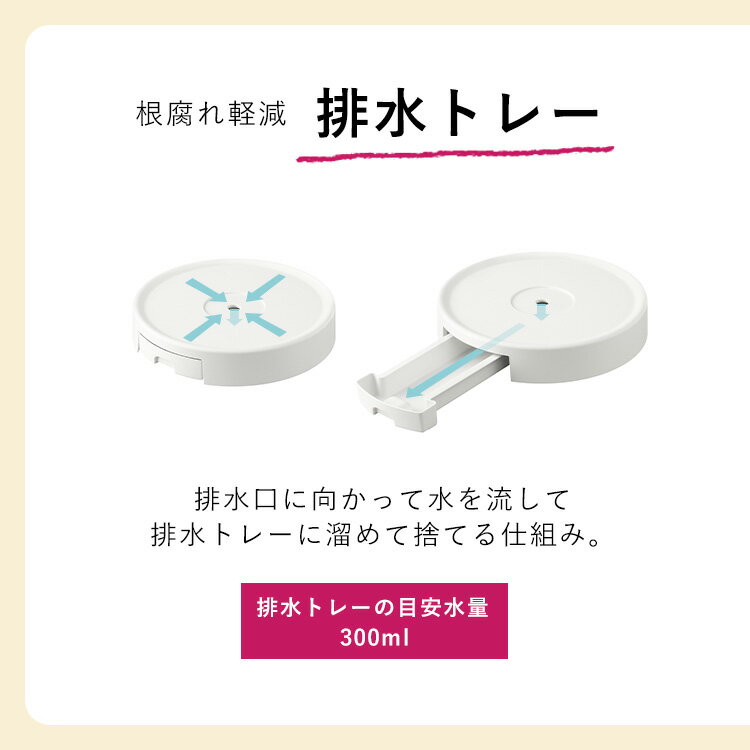 ȭ�֤� ���㥹�����դ� 10�� ȭ�� ����ȭ�� ���㥹�����դ� �ӿ�ȥ졼�դ� �ץ��ȥࡼ�С� ����ȭ�ȥ졼 ȭ�� �ץ�󥿡��� �ץ�󥿡�������� �ե�������� ���տ�ʪ ������� �餯�餯ȭ���ȥ졼 �ۥ磻�� �����ꥹ������� RHT-30