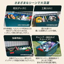 irisplaza-r:10157473のサンプル画像2