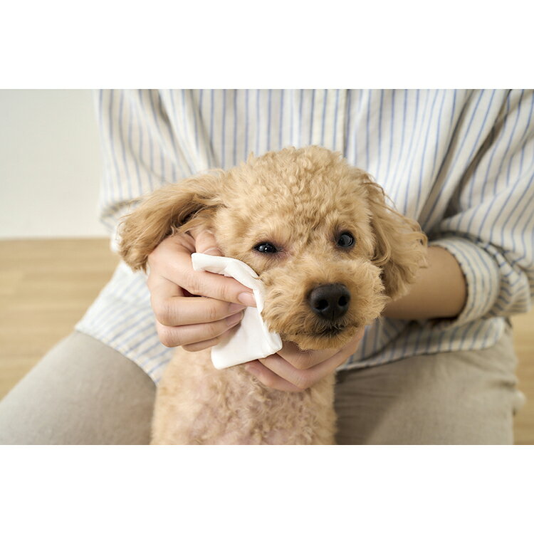 �����åȥƥ��å��� �ڥå��� �ڥå� �ڥå��ѥܥǥ�������1P 3P 25�� �����ꥹ������� DBWT-1P DBWT-3P �ܥǥ������� �ڥå��� �ڥå� �ڥå��ѥ����åȥƥ��å��� �ڥåȥ����� �ڥå��ѥ����� �����åȥ����� �ڥå� �ڥå���