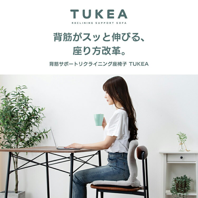 [エントリーで最大P10倍/スタンプラリー]置くだけ背筋サポートリクライニング座椅...
