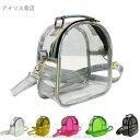 【送料無料】痛バッグ ショルダーバッグ ボディバッグ ウエスト ポーチデコ 透明ポケット ビニール キャンバス地 軽量 痛バ ガールズ